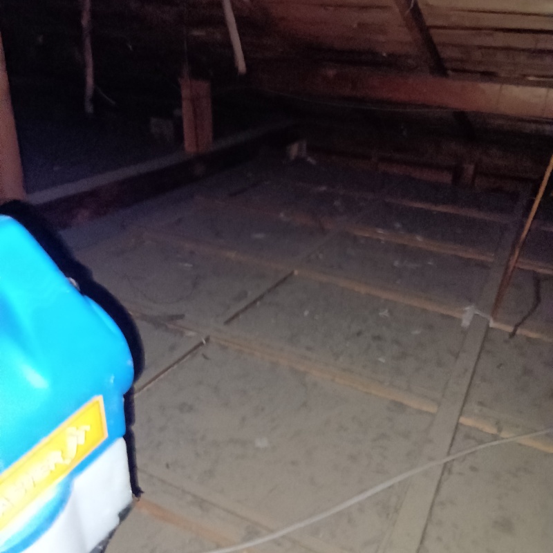 噴霧器で除菌・消臭剤を散布