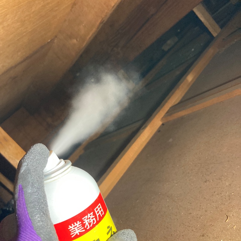 屋根裏に忌避スプレーを散布