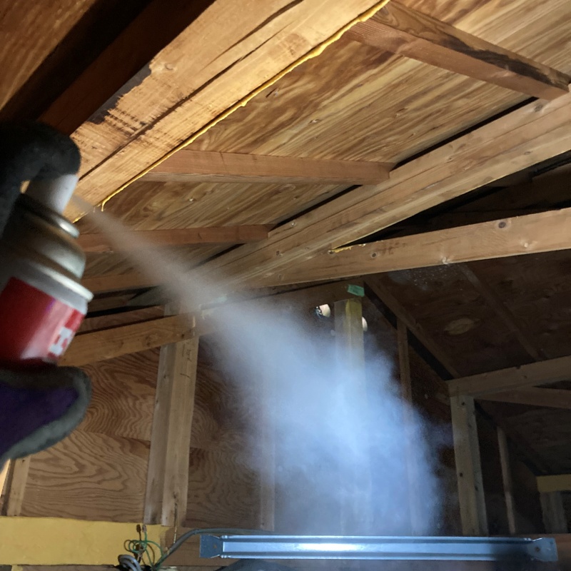 殺虫スプレーを吹きつけている様子