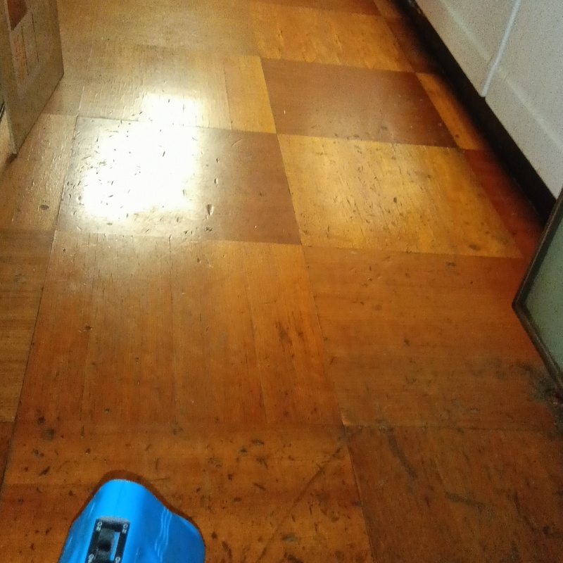 噴霧器で薬剤を散布