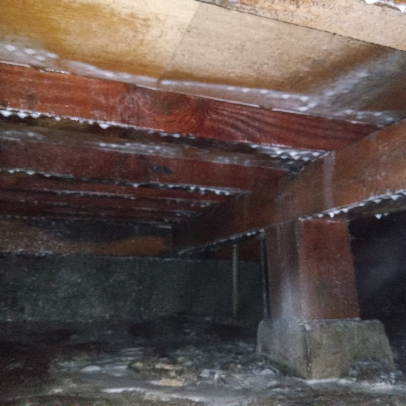 木部処理が完了した様子