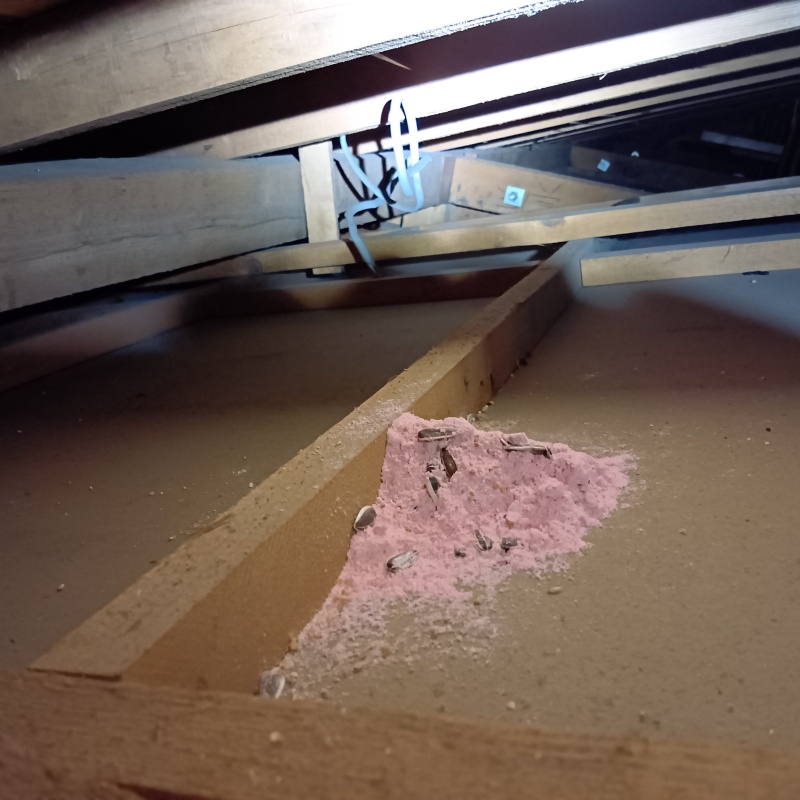 屋根裏に殺鼠剤を設置