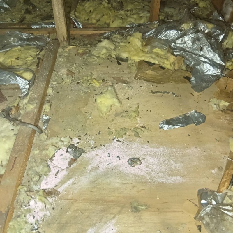 ネズミが殺鼠剤を食べたあとの様子