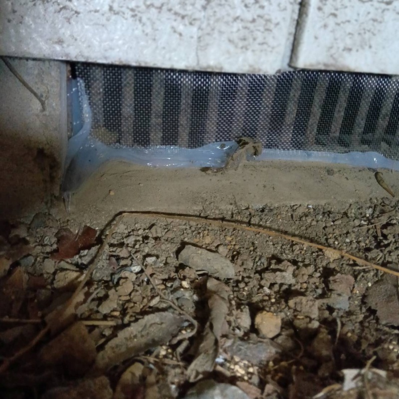 床下換気口のすき間を封鎖