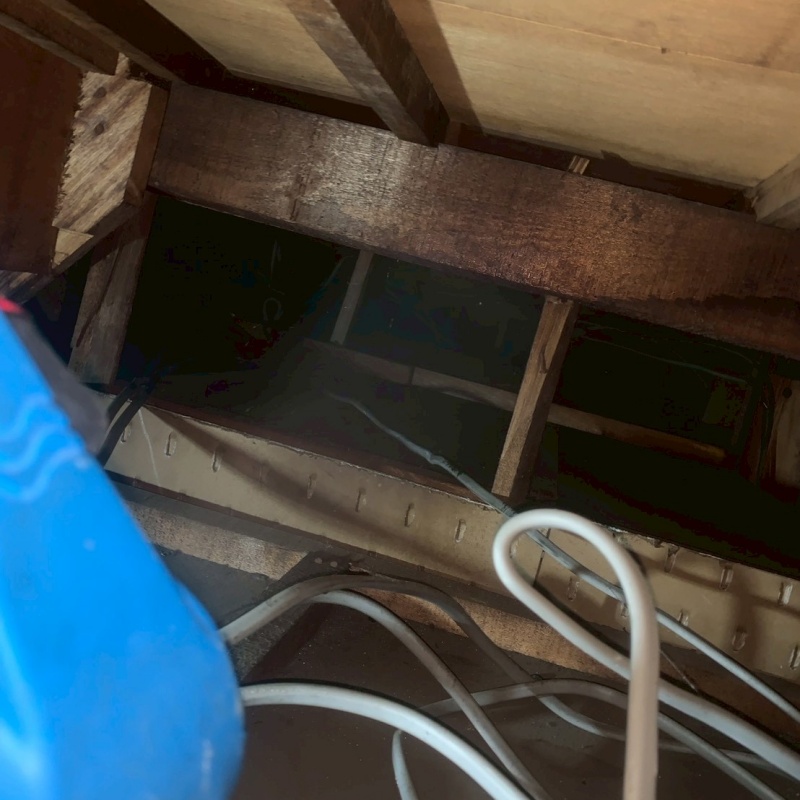 噴霧器で薬剤を吹きつけている様子