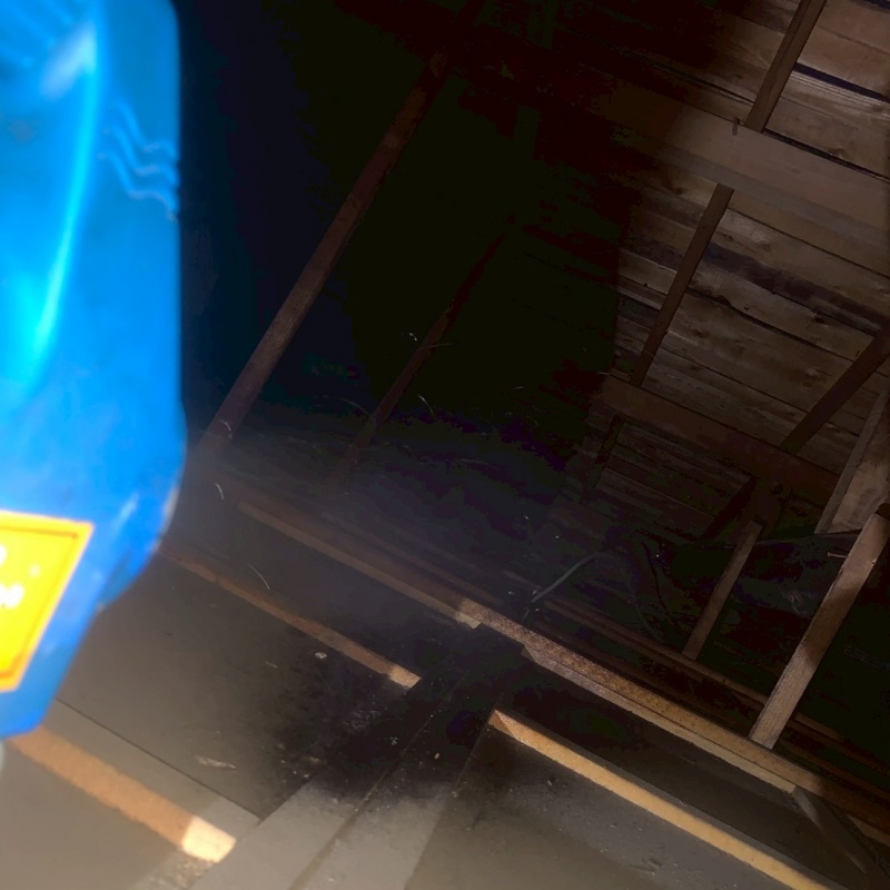 噴霧器で薬剤を吹きつけている様子