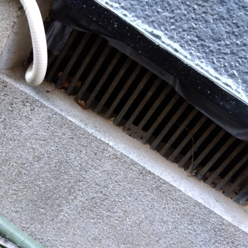 アライグマ駆除の施工事例（埼玉県北葛飾郡杉戸町高野台西）