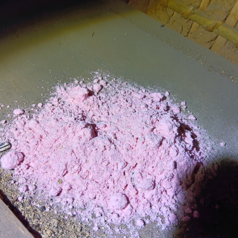 殺鼠剤を設置した様子