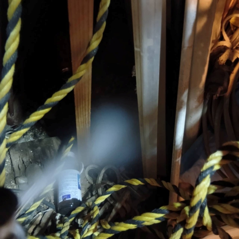 忌避スプレーを散布