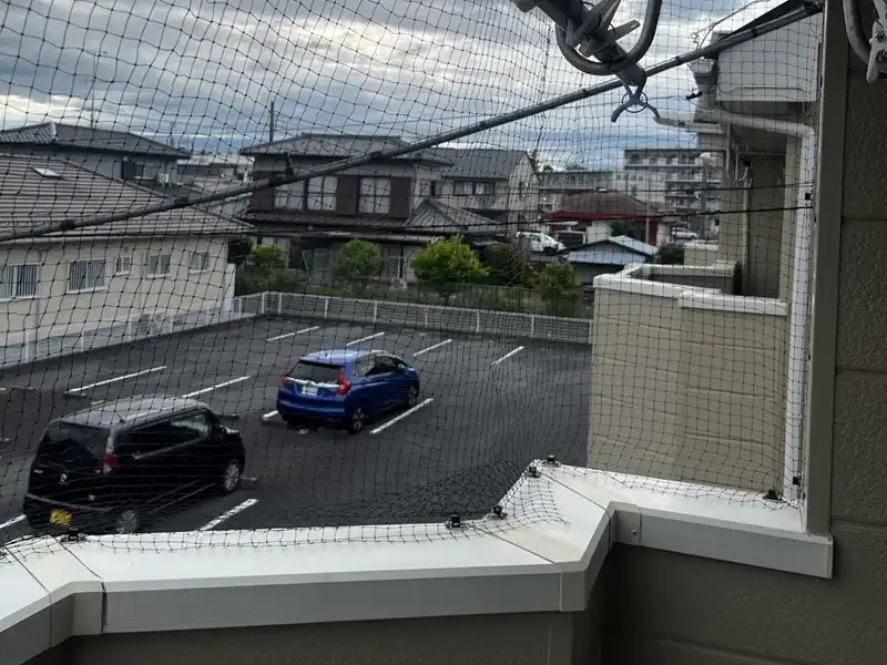 アズサポート撮影　鳩対策の防鳥ネット