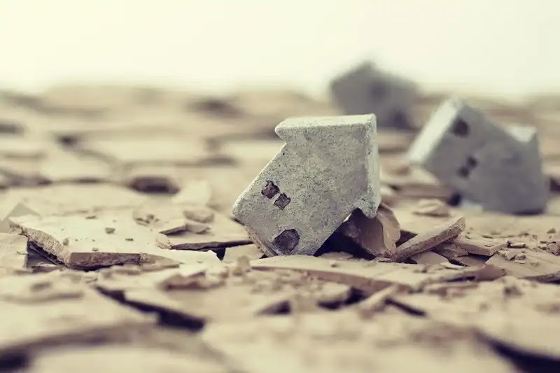 シロアリが家に与える被害の統計