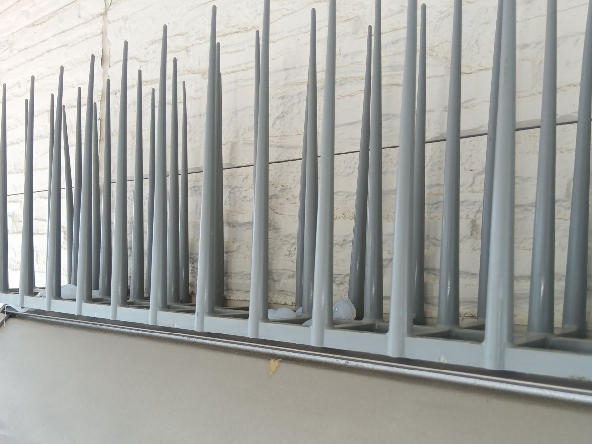 アズサポート撮影 鳩対策の剣山(バードスパイク)