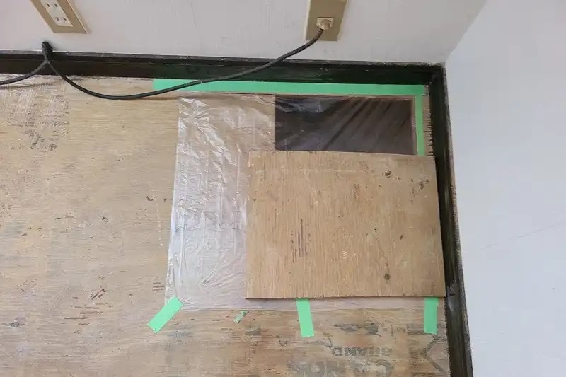 シロアリが家の中に出たらアズサポートにご相談ください