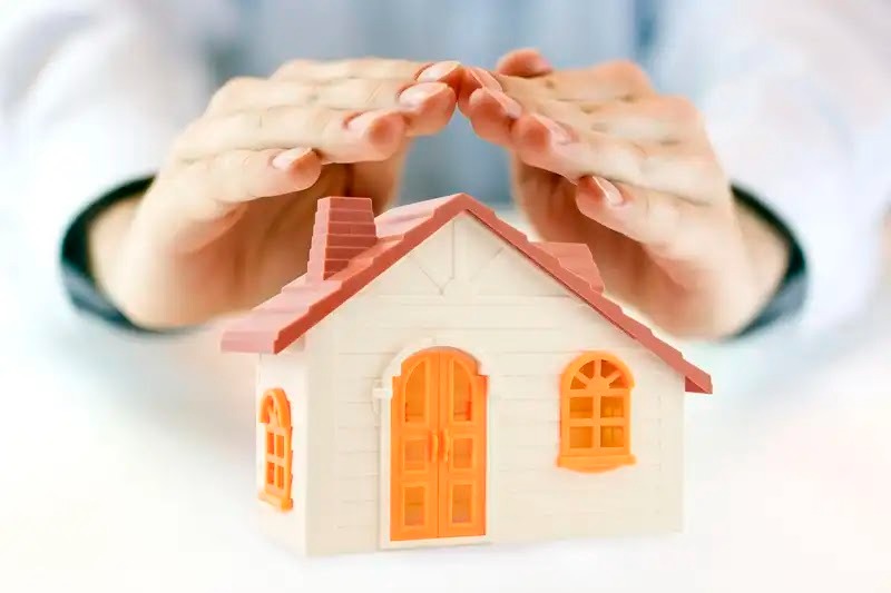 ネズミから家を守りたいならアズサポートにご連絡ください