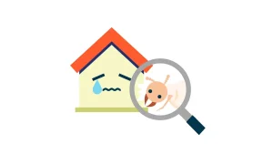 家の中でイエシロアリを発見した場合どうする?自分でできる対処法を紹介