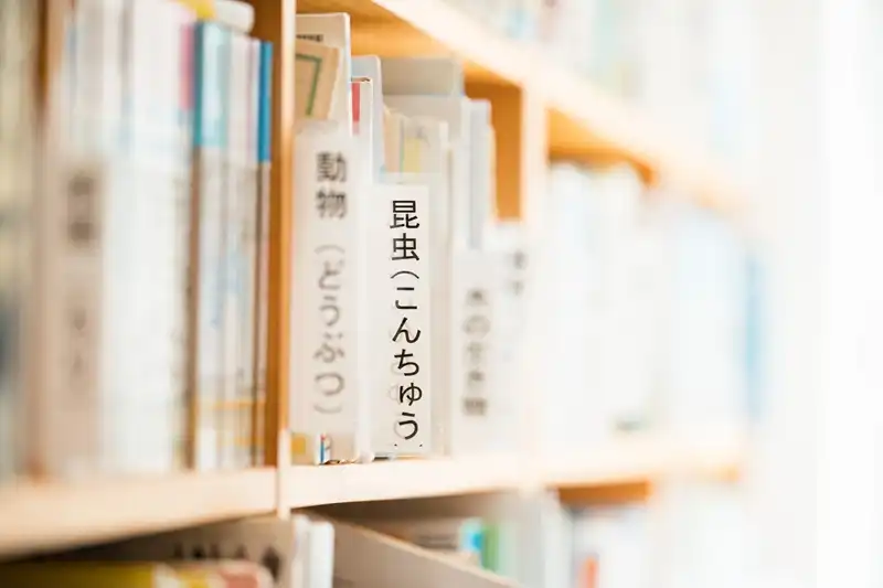 日本にいるシロアリの種類