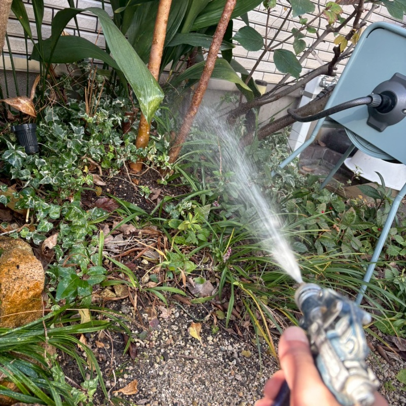 植栽に防蟻剤を散布