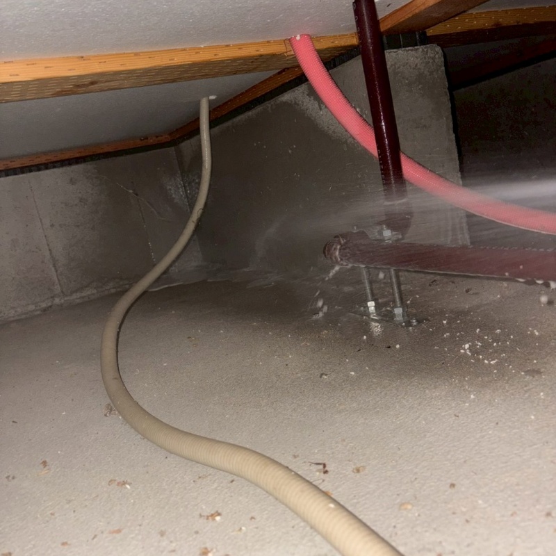 築年数10年のシロアリ予防の施工事例（広島県三原市沼田東町末光）