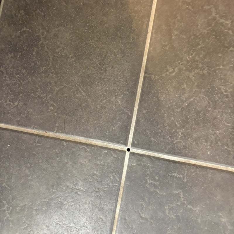 玄関床のタイルの目地に穴を開けている様子