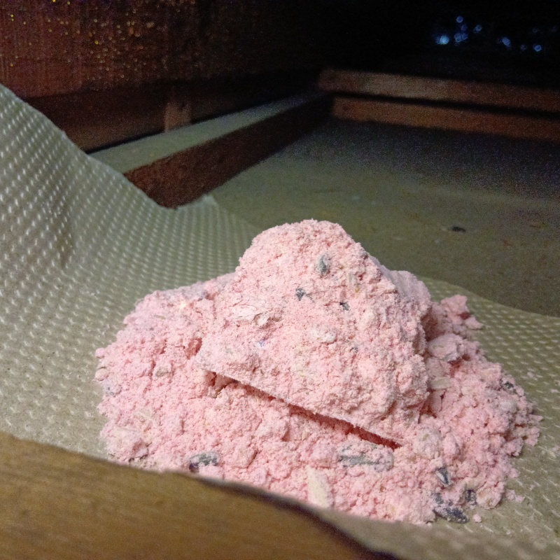 ネズミ駆除の施工事例（東京都荒川区南千住）