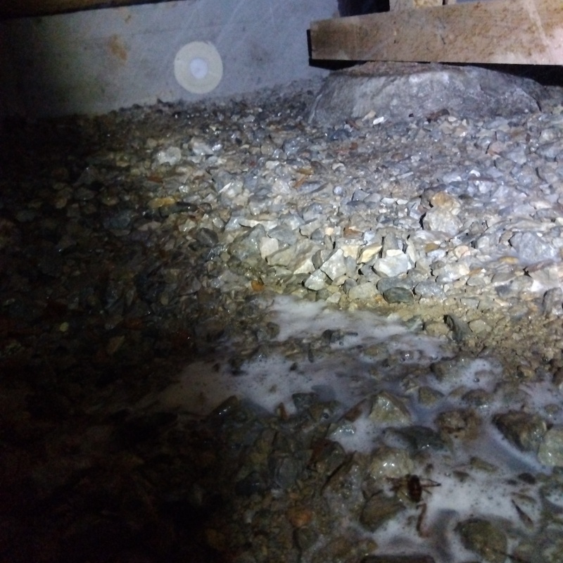 床下土壌にシロアリ駆除剤を散布したあと