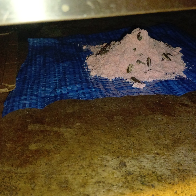 什器の下に殺鼠剤と粘着シートを設置