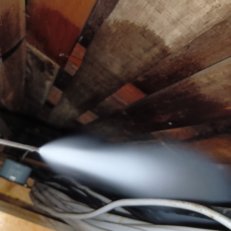 天井裏に殺虫剤をスプレー