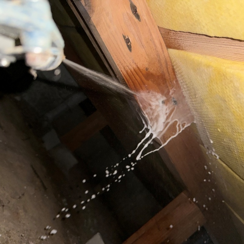 大引に防蟻剤を散布