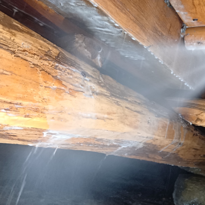 傷んだ木材にシロアリ駆除剤を吹きつけている様子