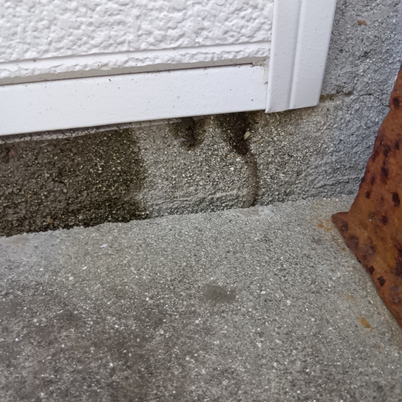 築年数30年のシロアリ駆除の施工事例（山口県柳井市中央）