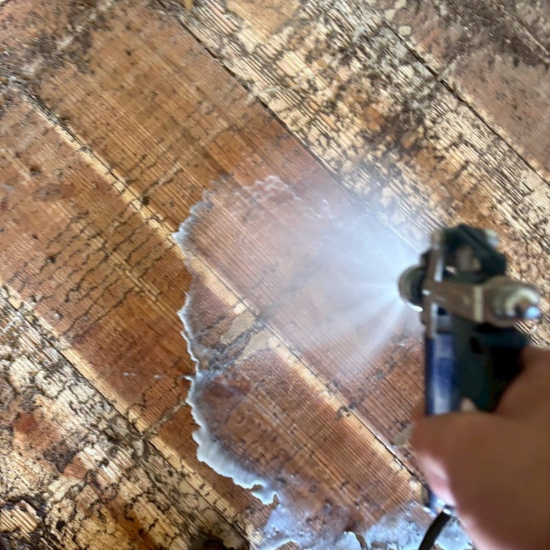 傷んだ木のフローリングにシロアリ駆除剤を散布