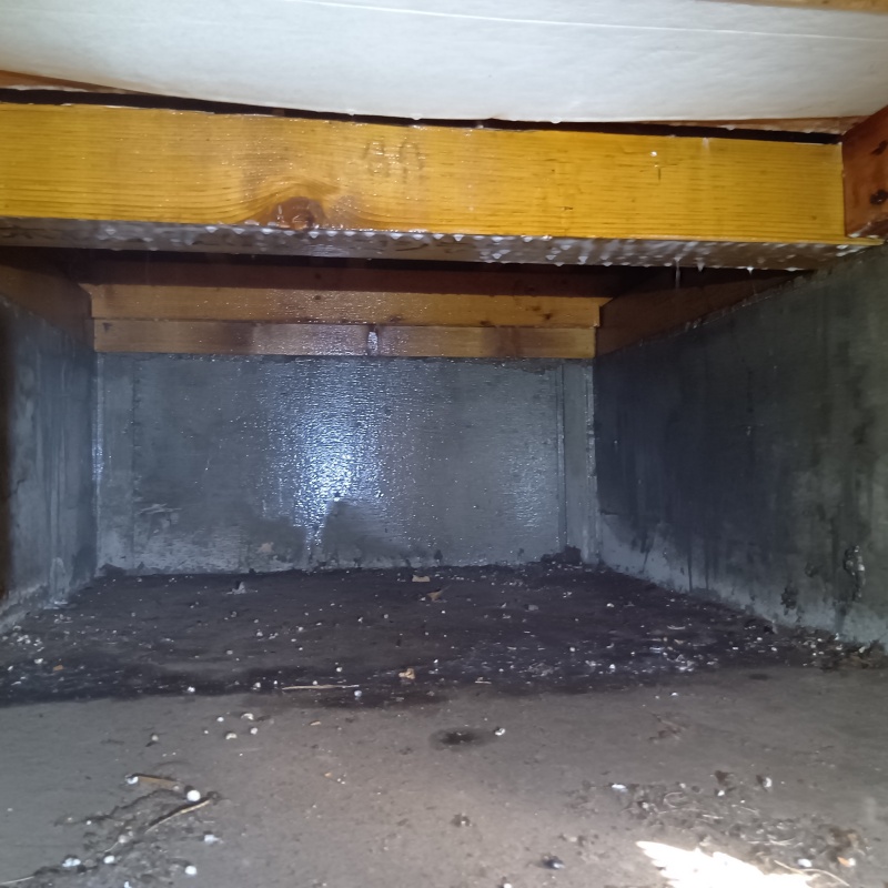 床下の基礎にシロアリ駆除剤を散布