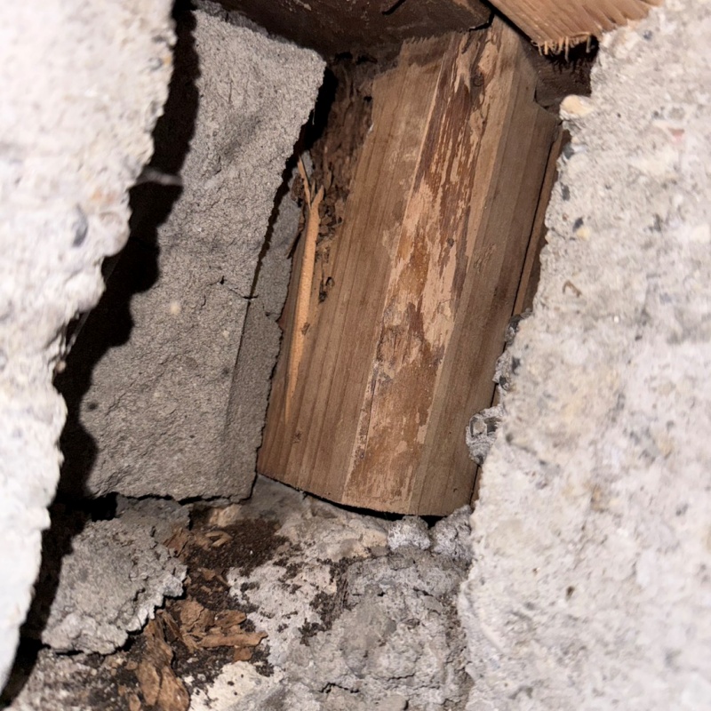 築年数60年のシロアリ駆除の施工事例（愛知県知多郡東浦町森岡荒子）