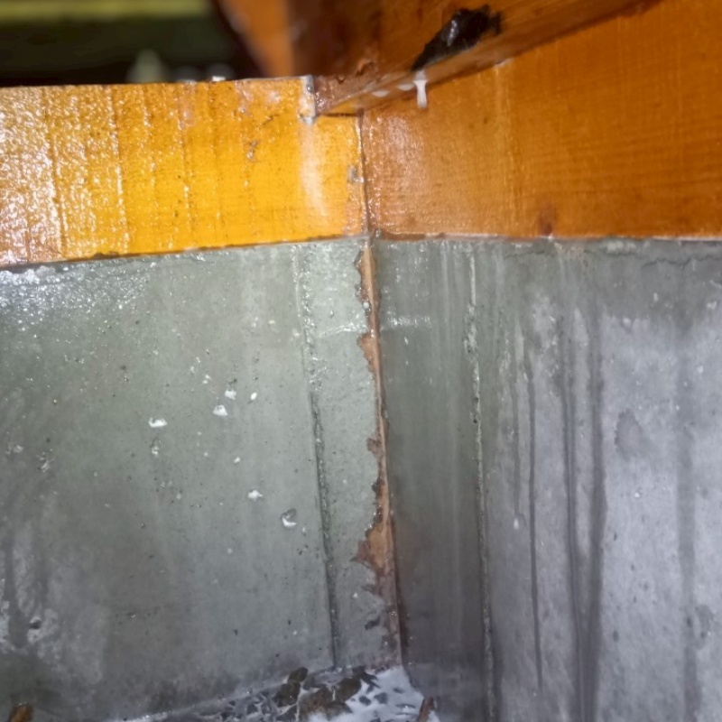 コンクリートにシロアリ駆除剤を吹きつけたあとの様子