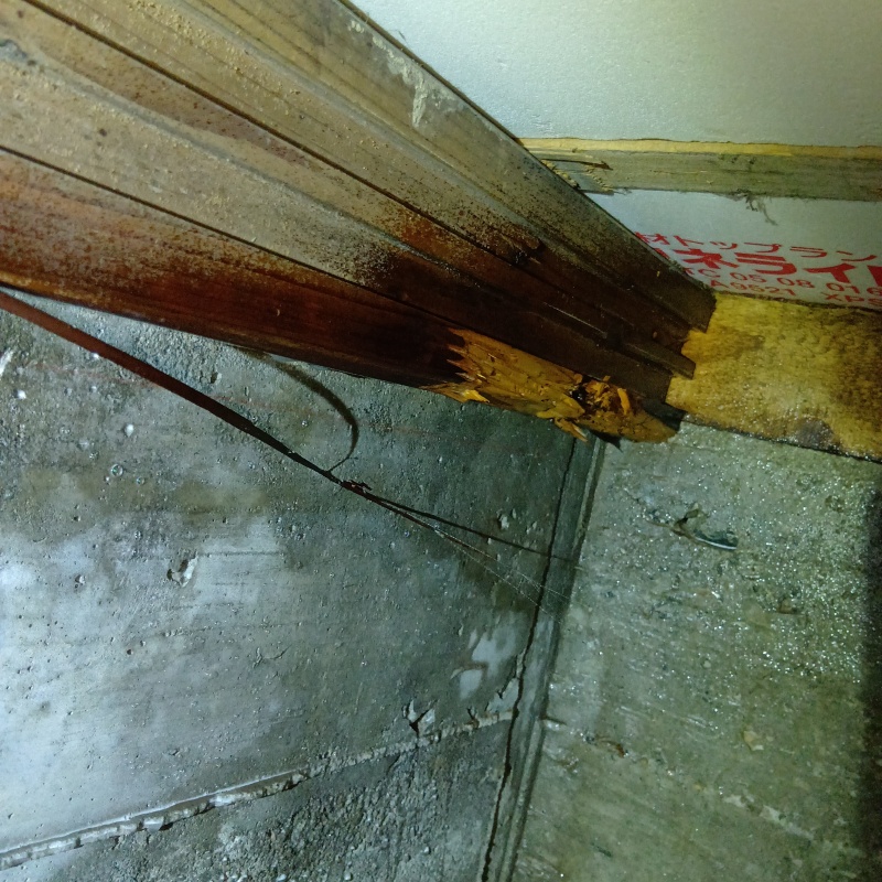 劣化した木材
