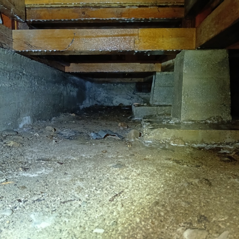 シロアリ駆除剤散布後の床下の様子