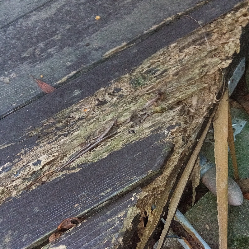 シロアリ駆除の施工事例（神奈川県鎌倉市由比ガ浜）