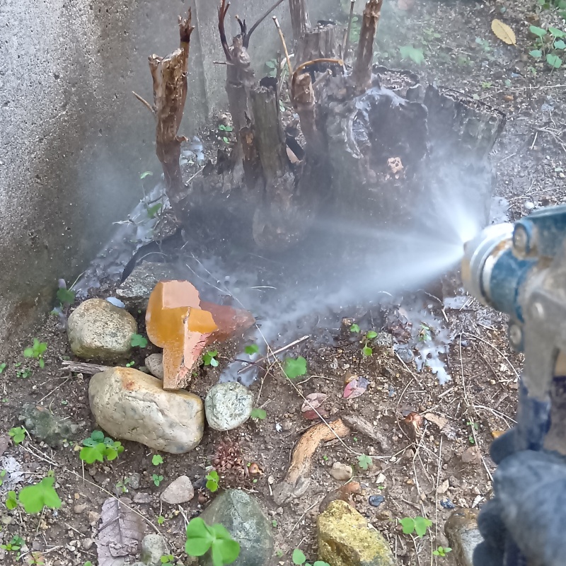 枯れ木にシロアリ駆除剤を散布