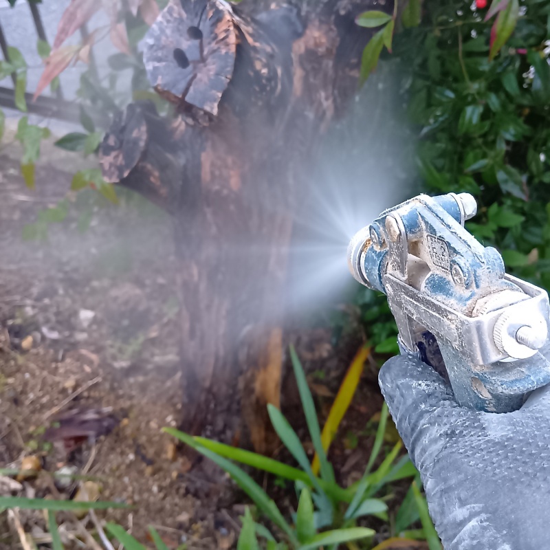 枯れ木にシロアリ駆除剤を散布