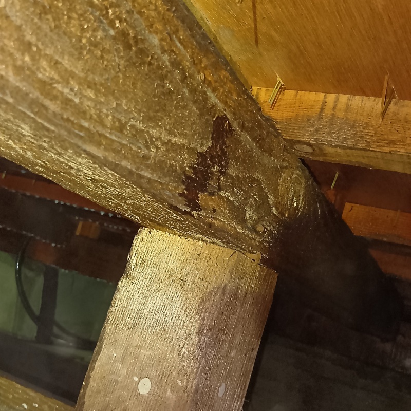 木材が劣化している様子