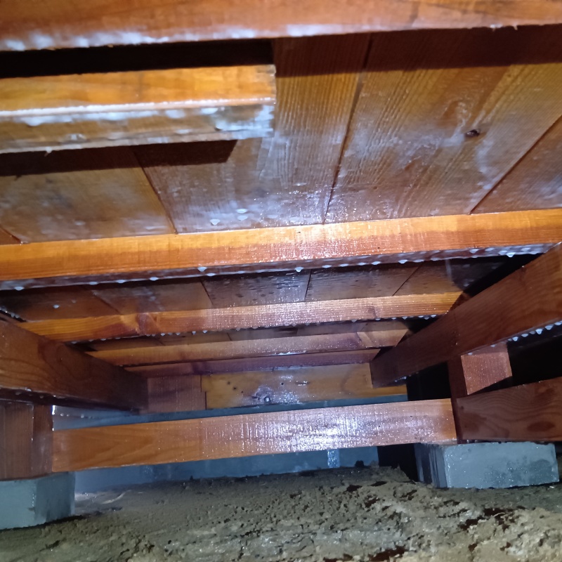 シロアリ駆除剤を散布したあとの様子