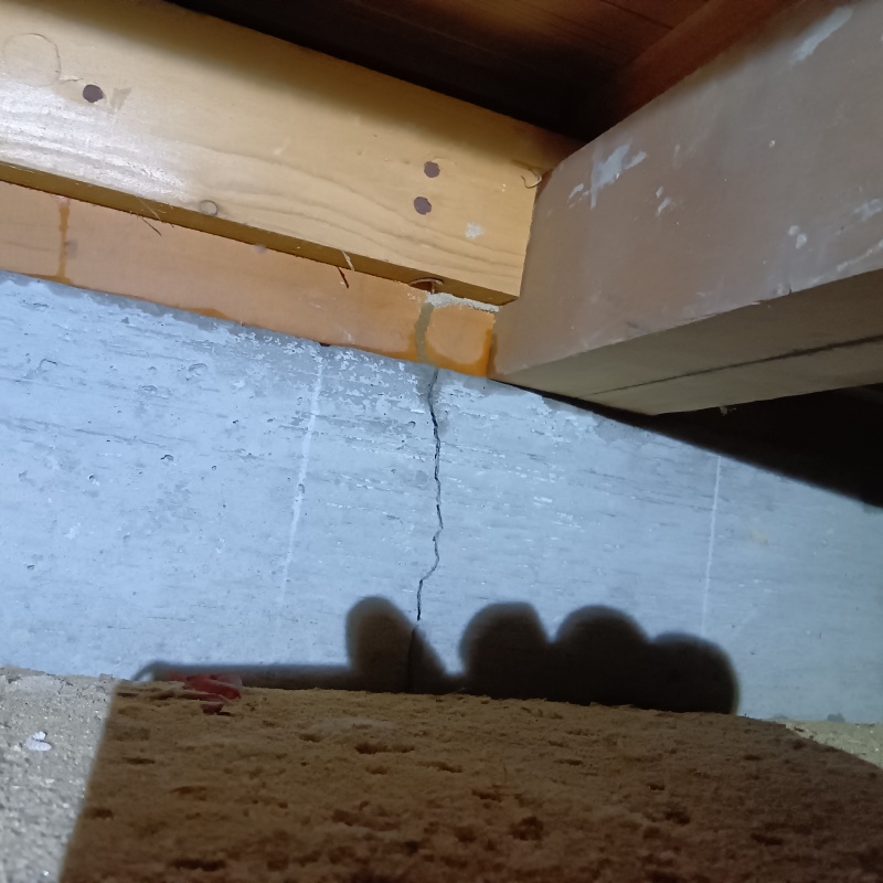 基礎コンクリートの亀裂と蟻道