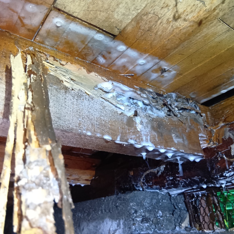 劣化した木材にシロアリ駆除剤を吹きつけている様子