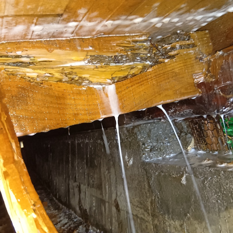 劣化した木材にシロアリ駆除剤を吹きつけている様子