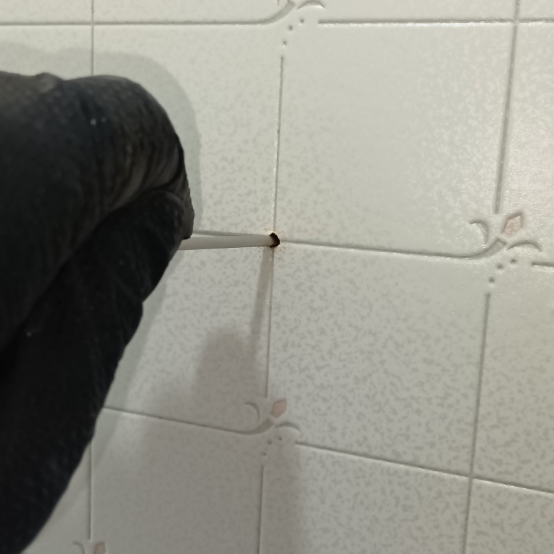 トイレのタイルの目地から防蟻剤を注入