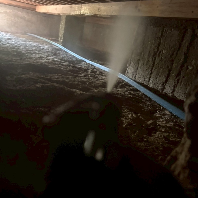 木材にシロアリ駆除剤を散布