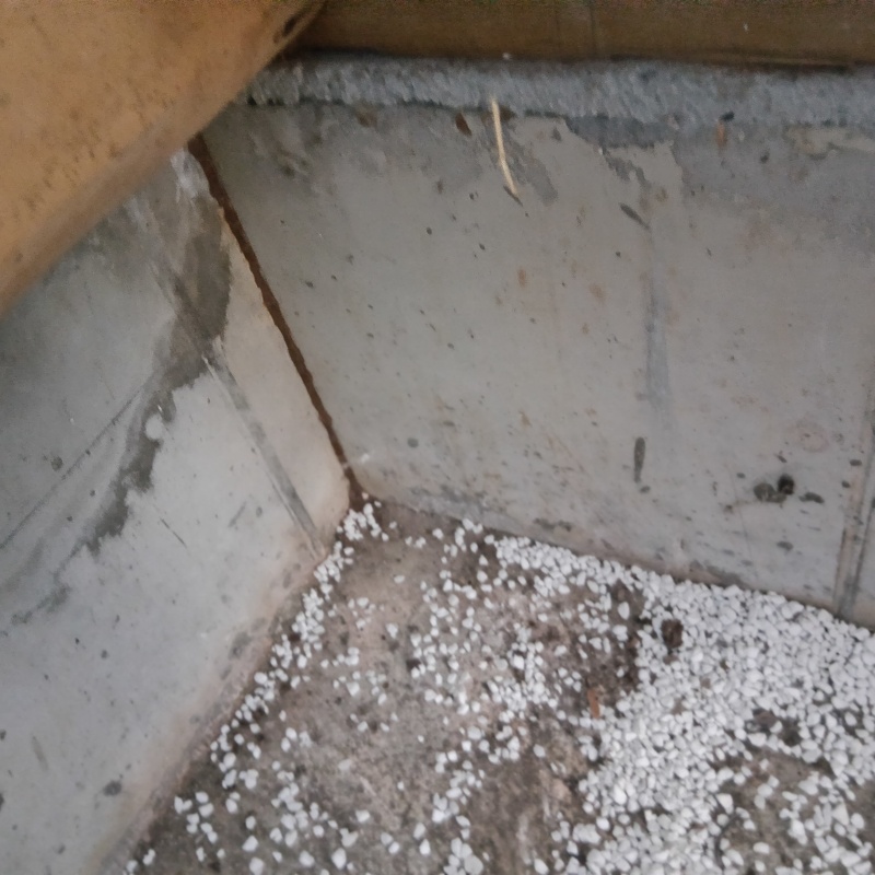シロアリ駆除剤を吹きつける前の様子