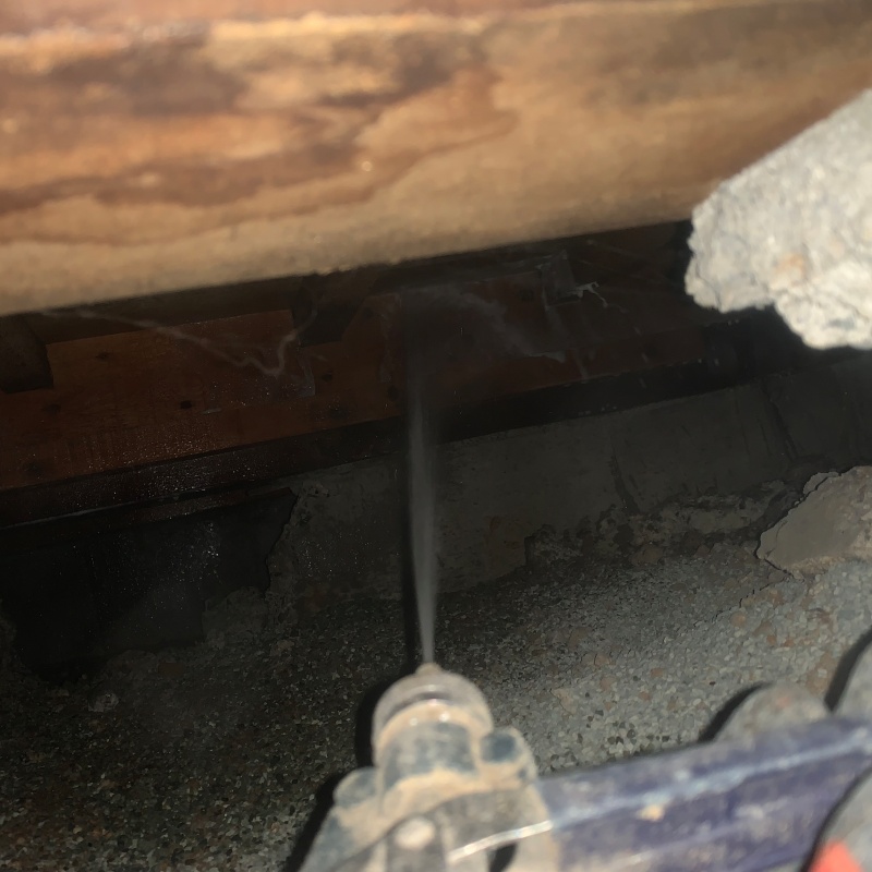 木材に防蟻剤を吹き付けている様子