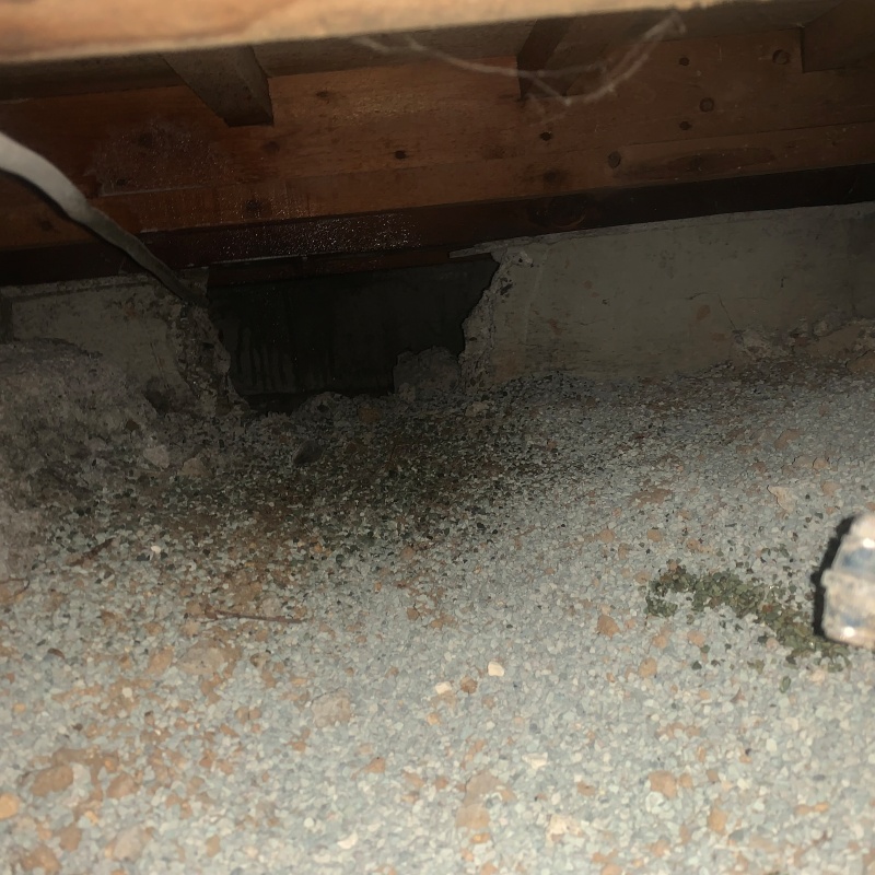 コンクリート・地面に防蟻剤を散布