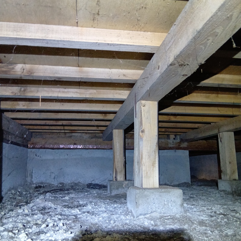 築年数40年のシロアリ駆除の施工事例（茨城県水戸市水府町）